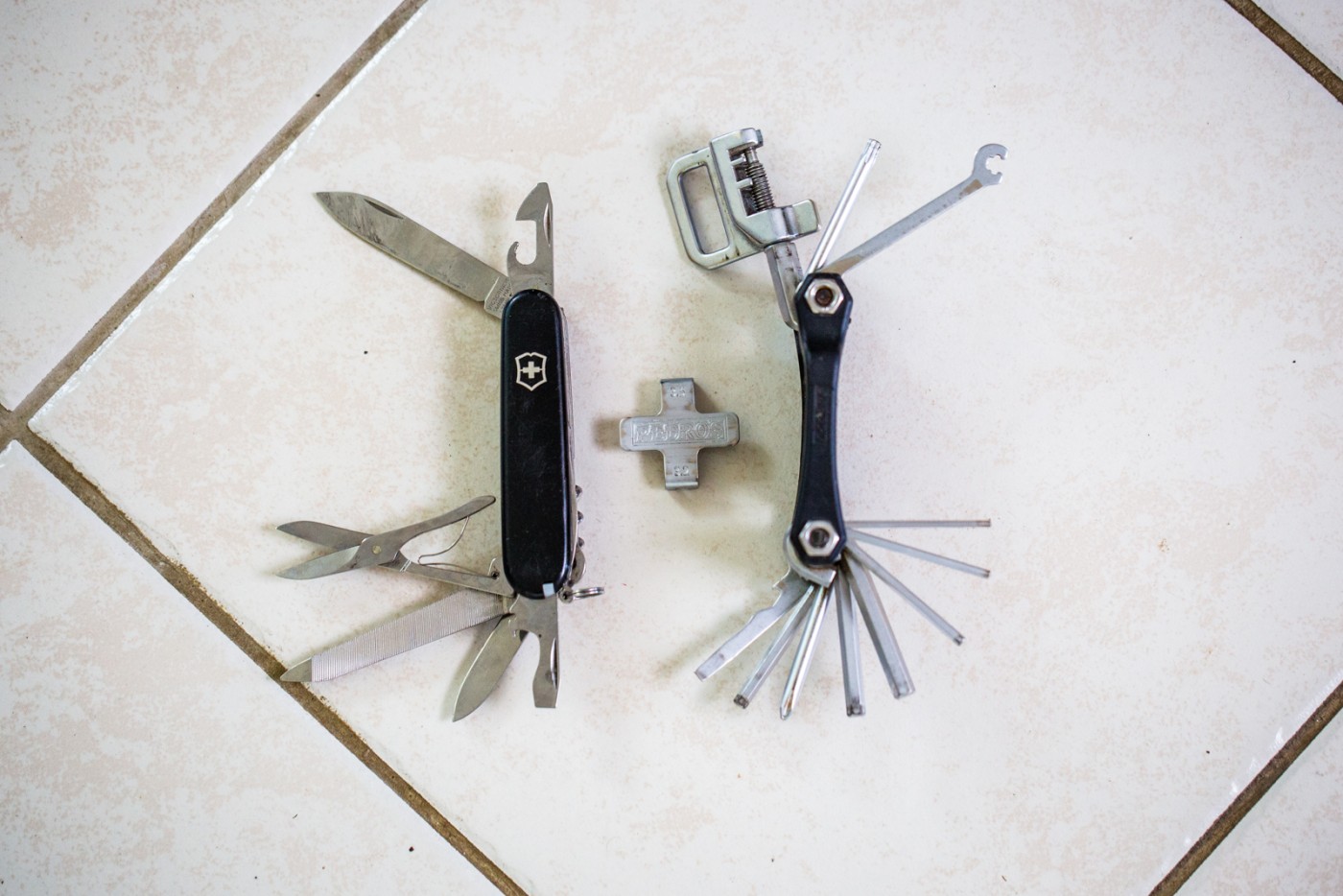 Photo courtesy of Matt Wragg.