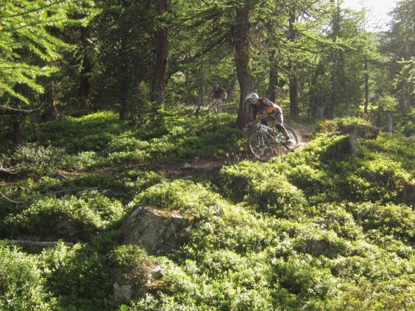 Natural singletrack running from the top