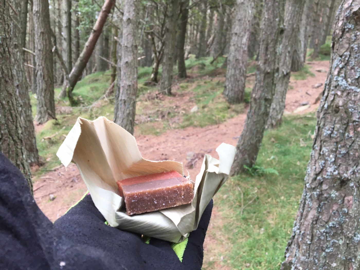 These are neat little parcels of energy – perfect for the trail. The coffee one came out on top for me!